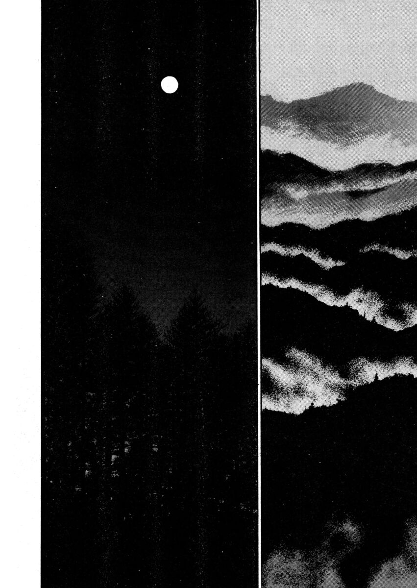 Read Shamo Manga Online