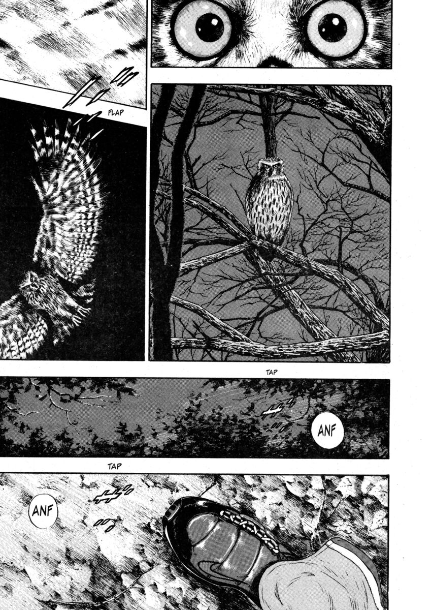 Read Shamo Manga Online