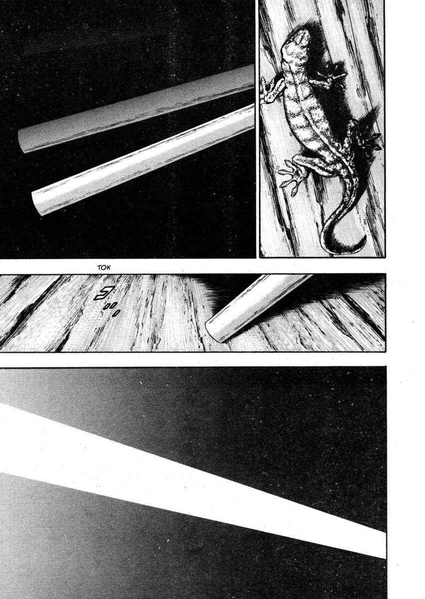 Read Shamo Manga Online