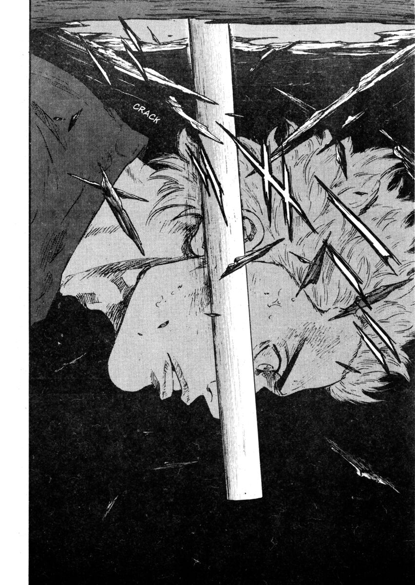 Read Shamo Manga Online