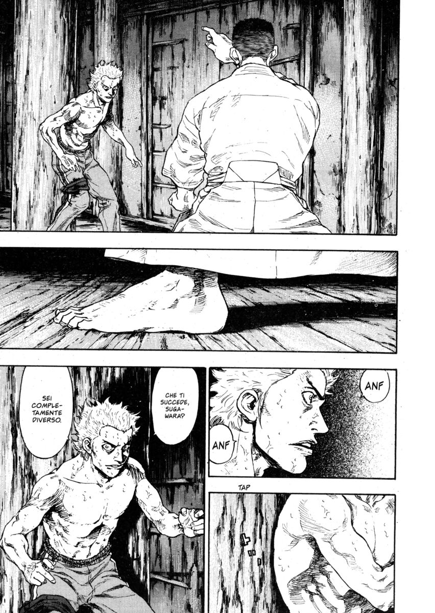 Read Shamo Manga Online