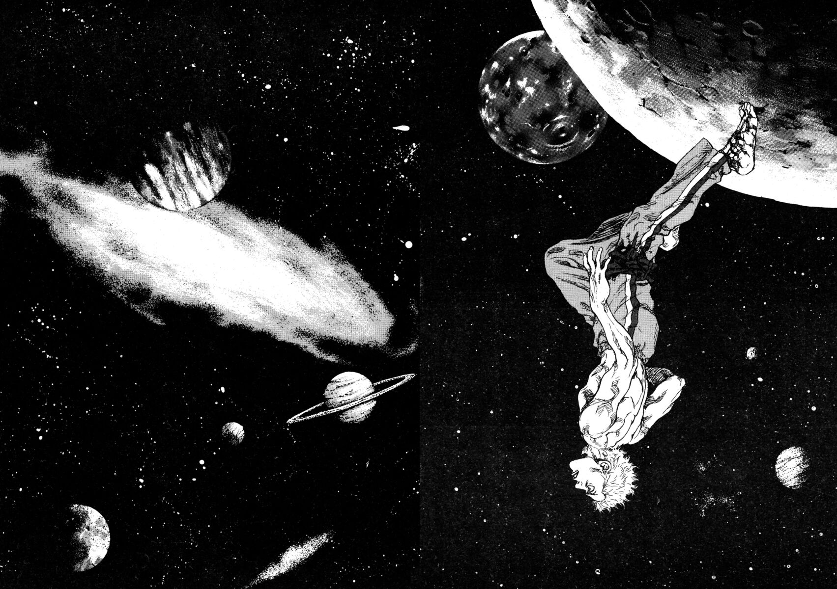 Read Shamo Manga Online