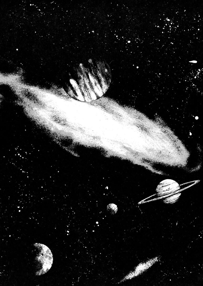 Read Shamo Manga Online