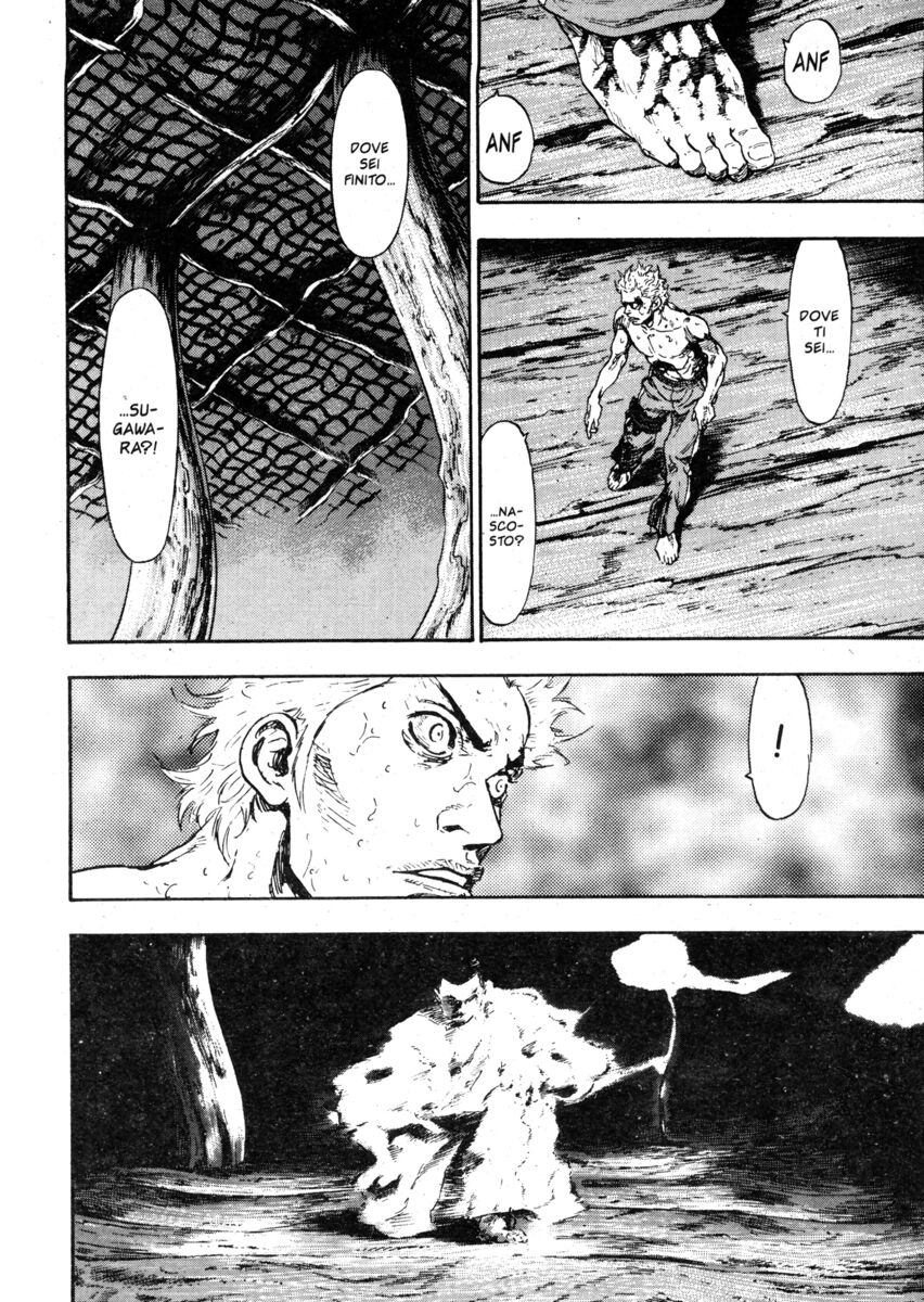 Read Shamo Manga Online