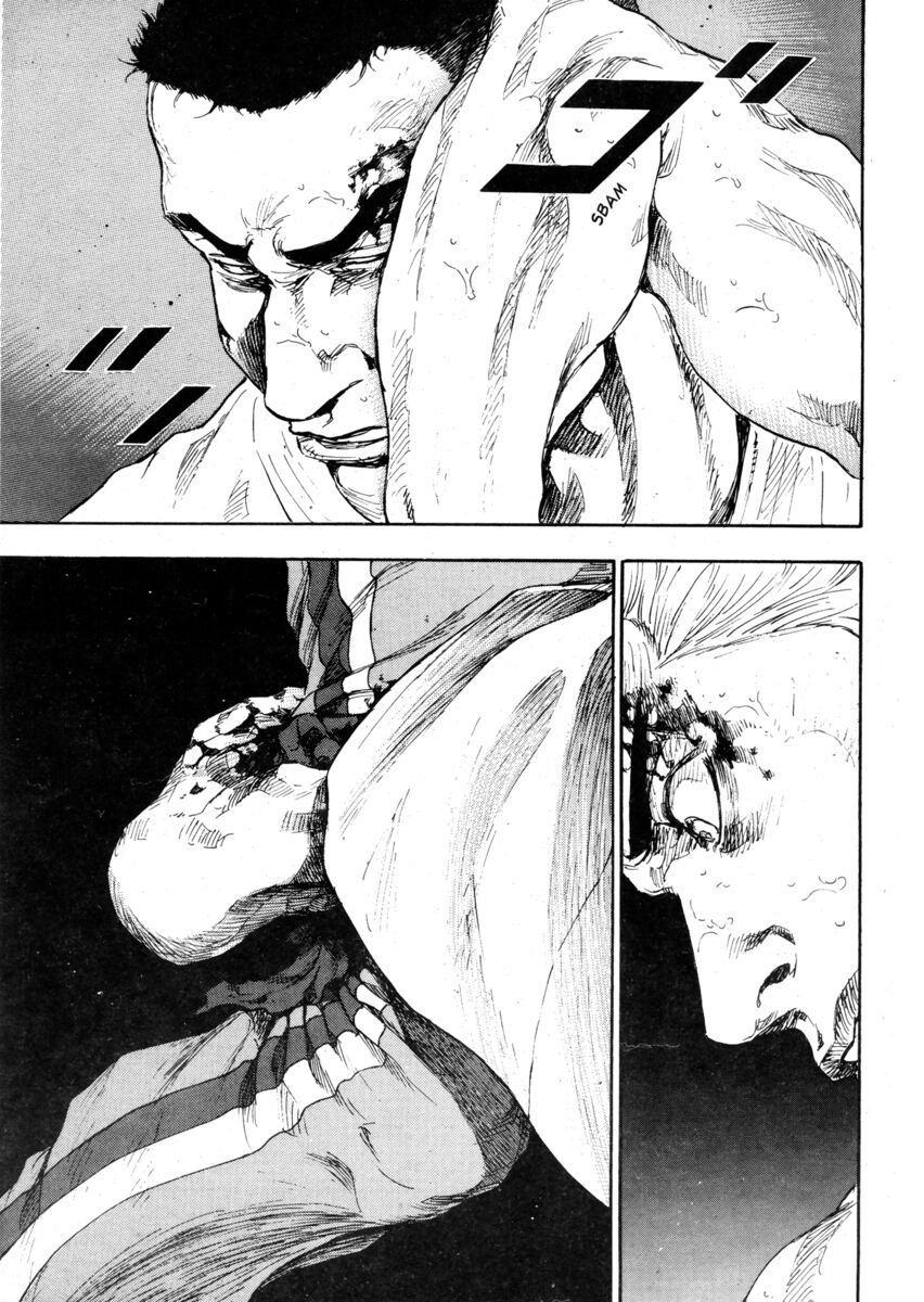 Read Shamo Manga Online