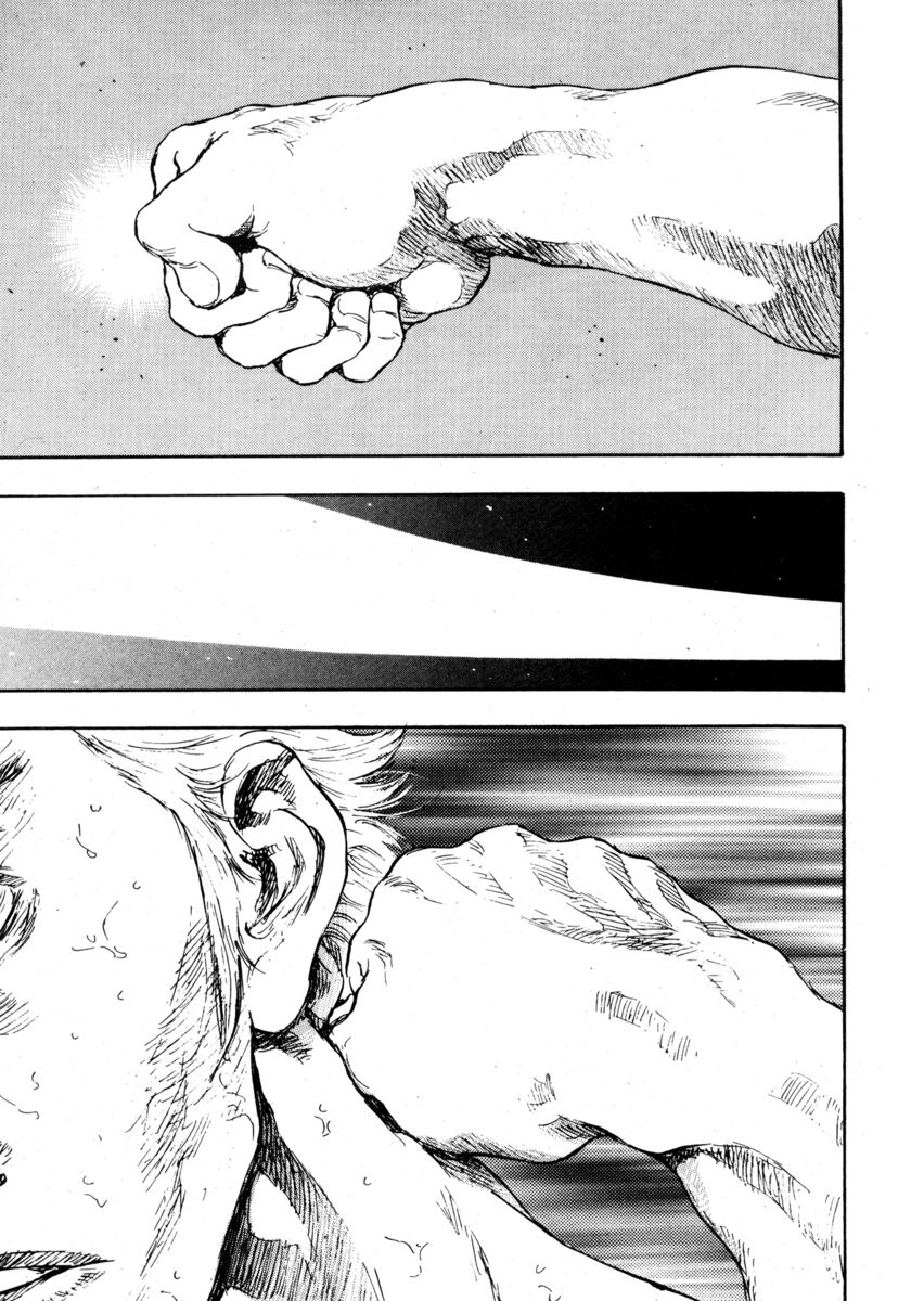 Read Shamo Manga Online