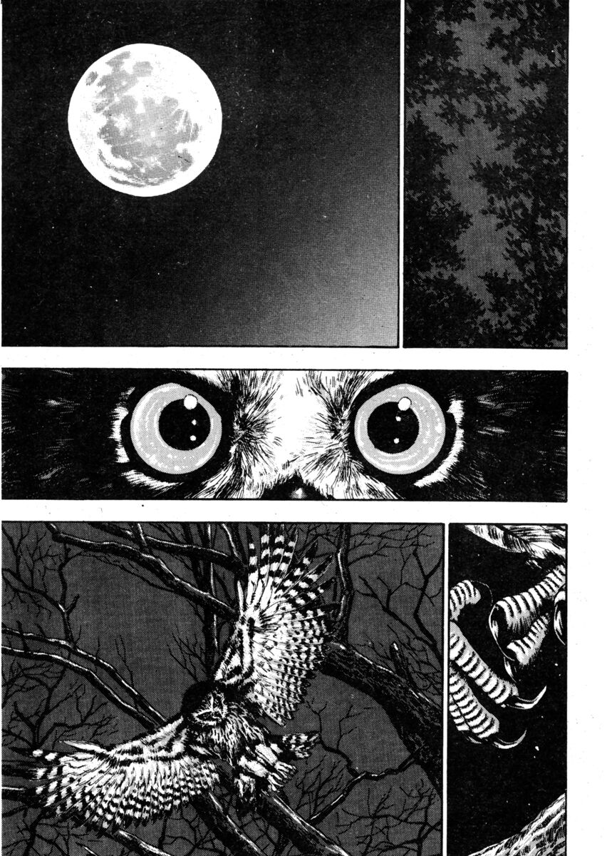 Read Shamo Manga Online