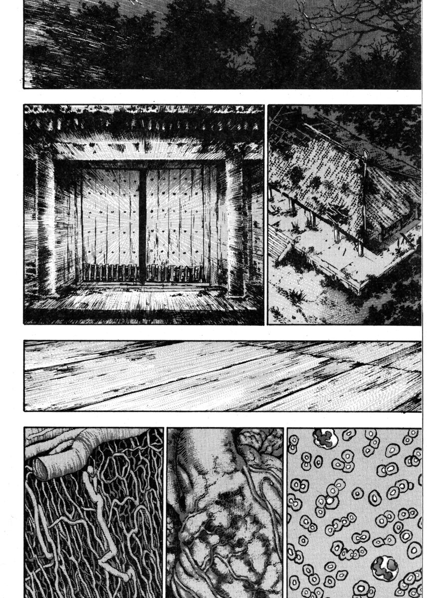 Read Shamo Manga Online