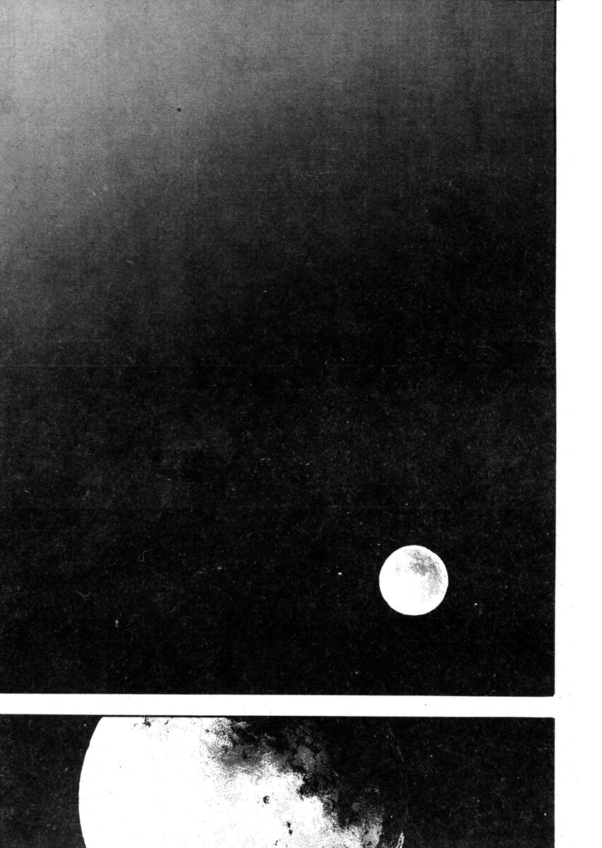 Read Shamo Manga Online