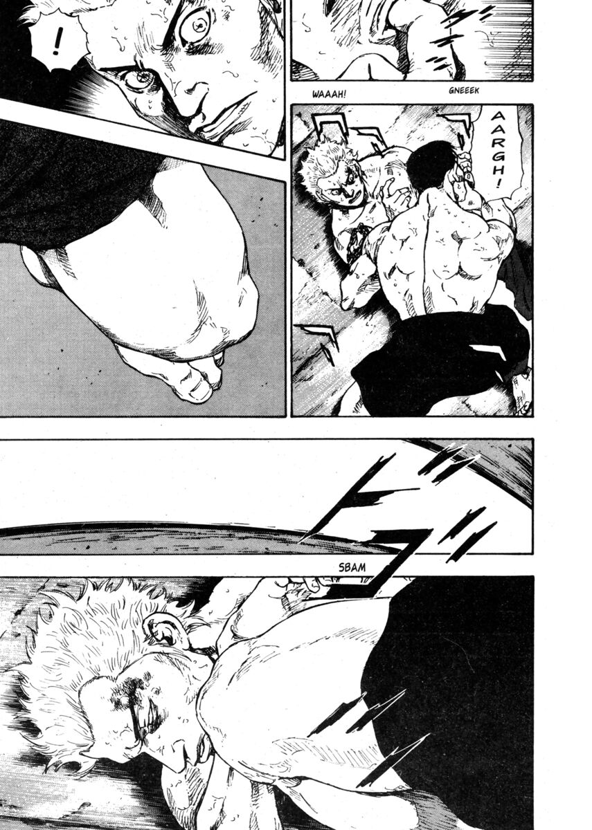 Read Shamo Manga Online