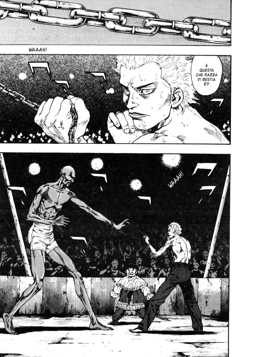 Read Shamo Manga Online