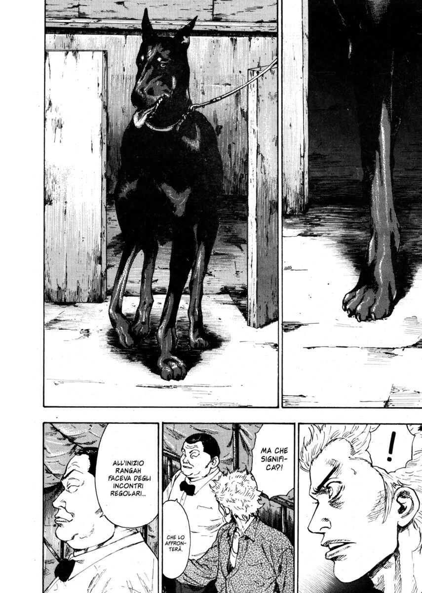 Read Shamo Manga Online