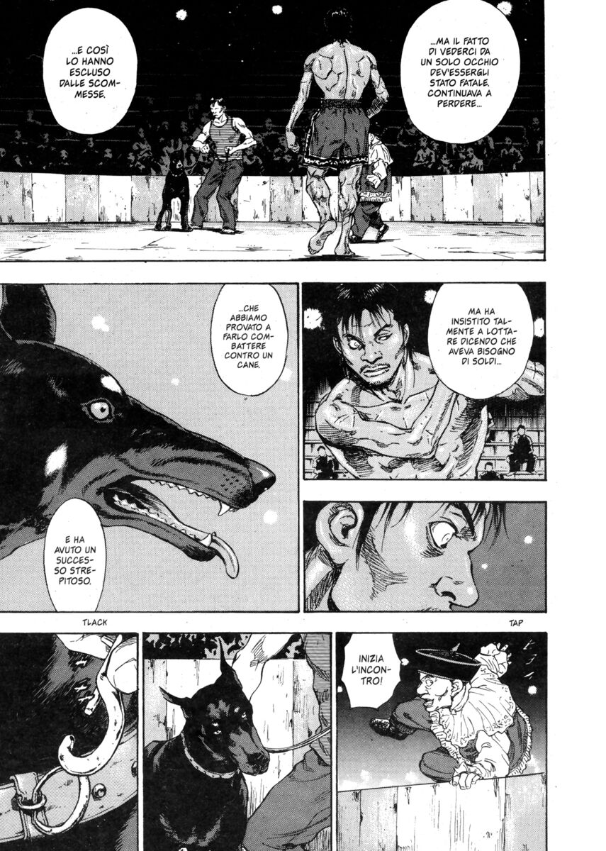 Read Shamo Manga Online