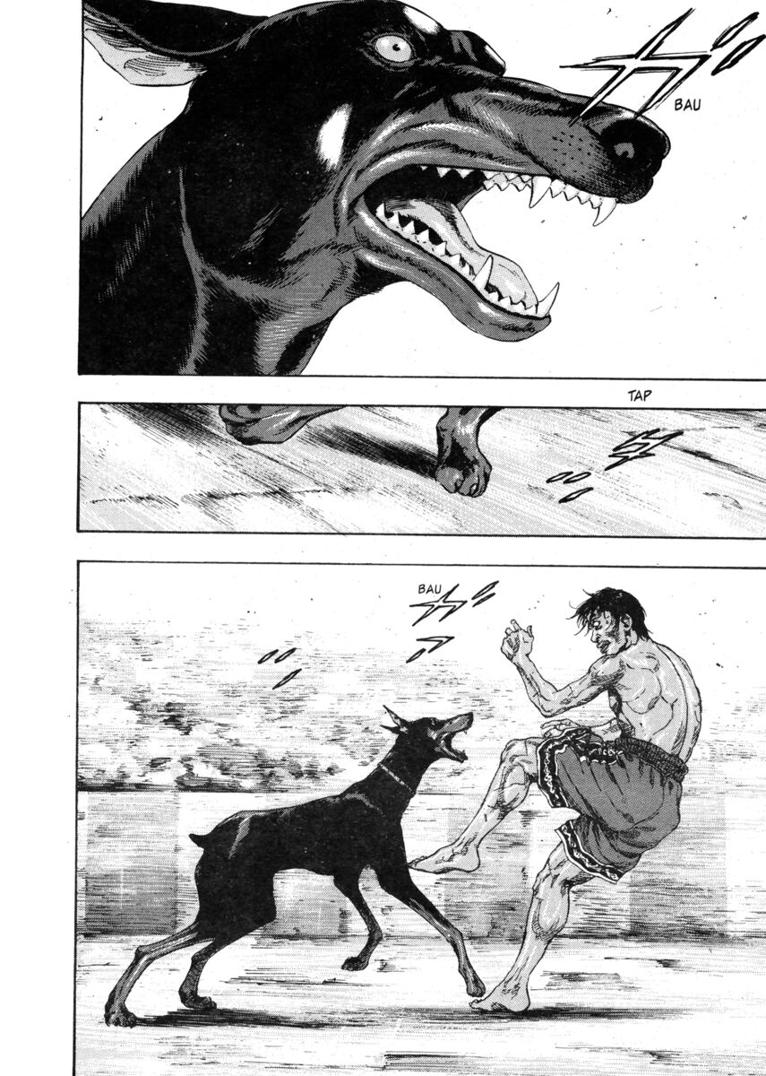 Read Shamo Manga Online