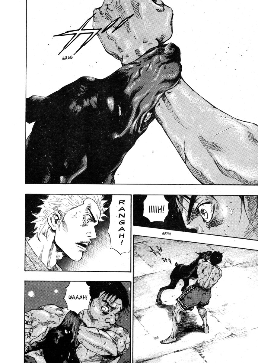 Read Shamo Manga Online