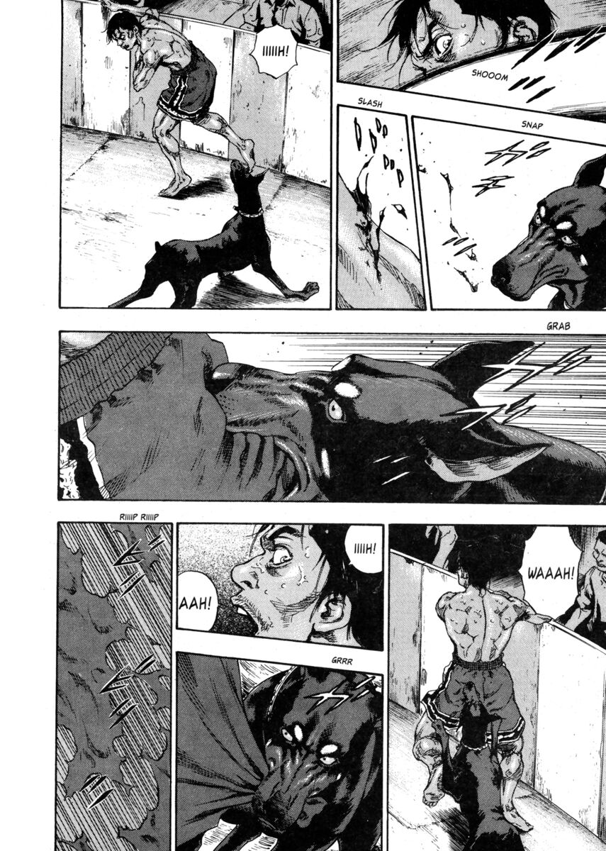 Read Shamo Manga Online