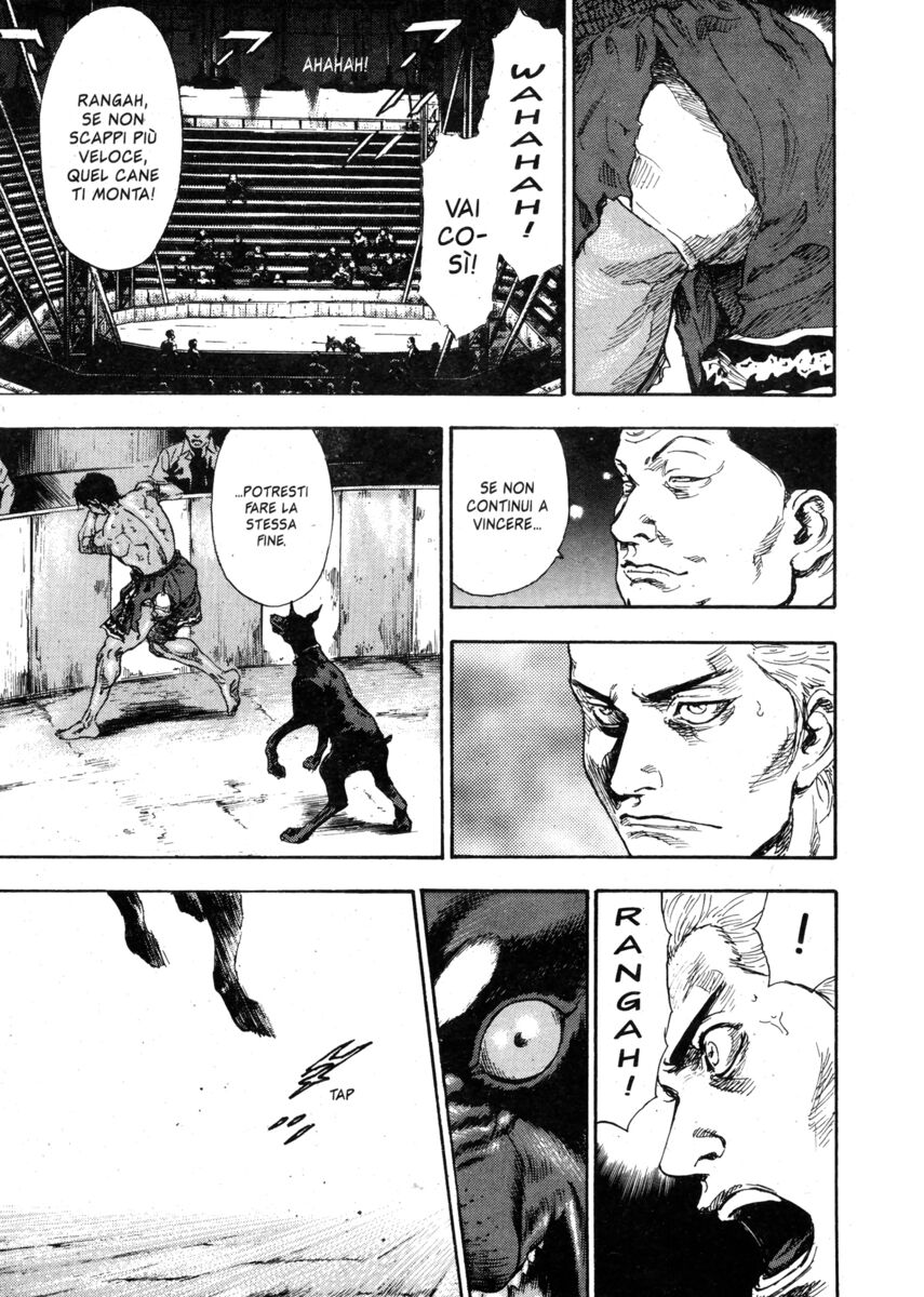 Read Shamo Manga Online