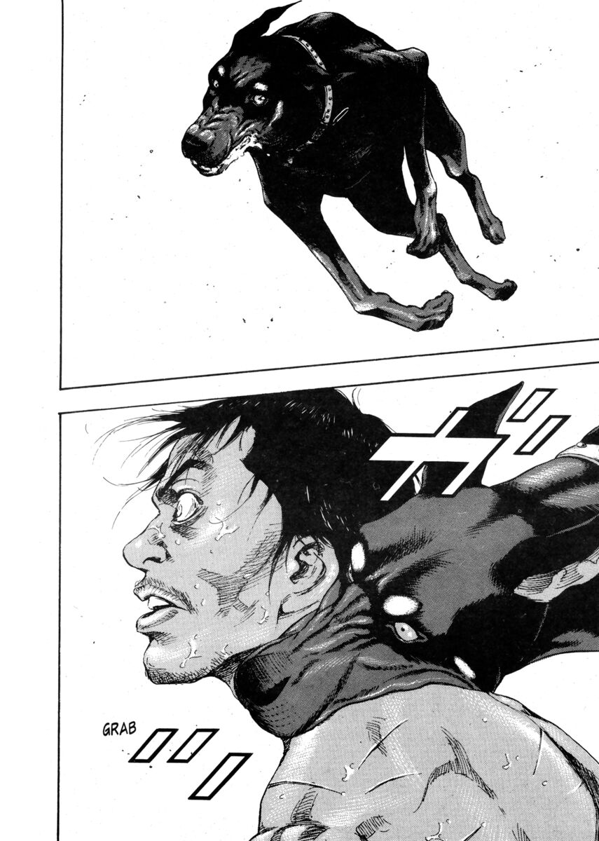 Read Shamo Manga Online