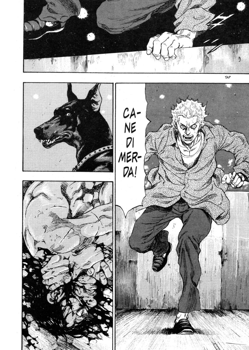 Read Shamo Manga Online