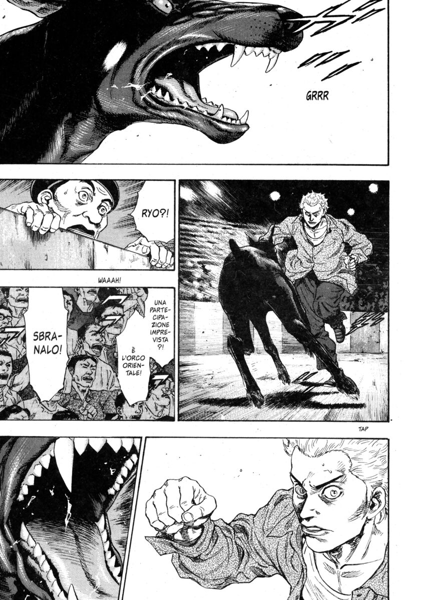 Read Shamo Manga Online