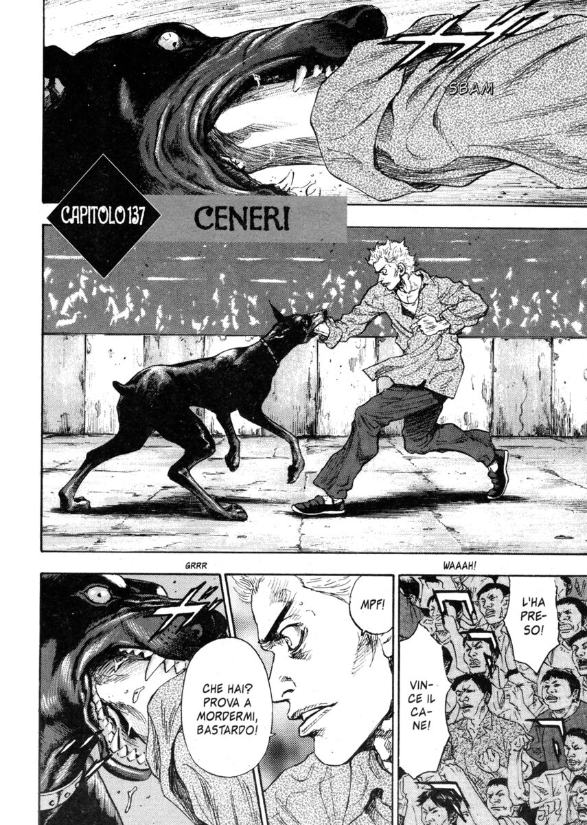 Read Shamo Manga Online