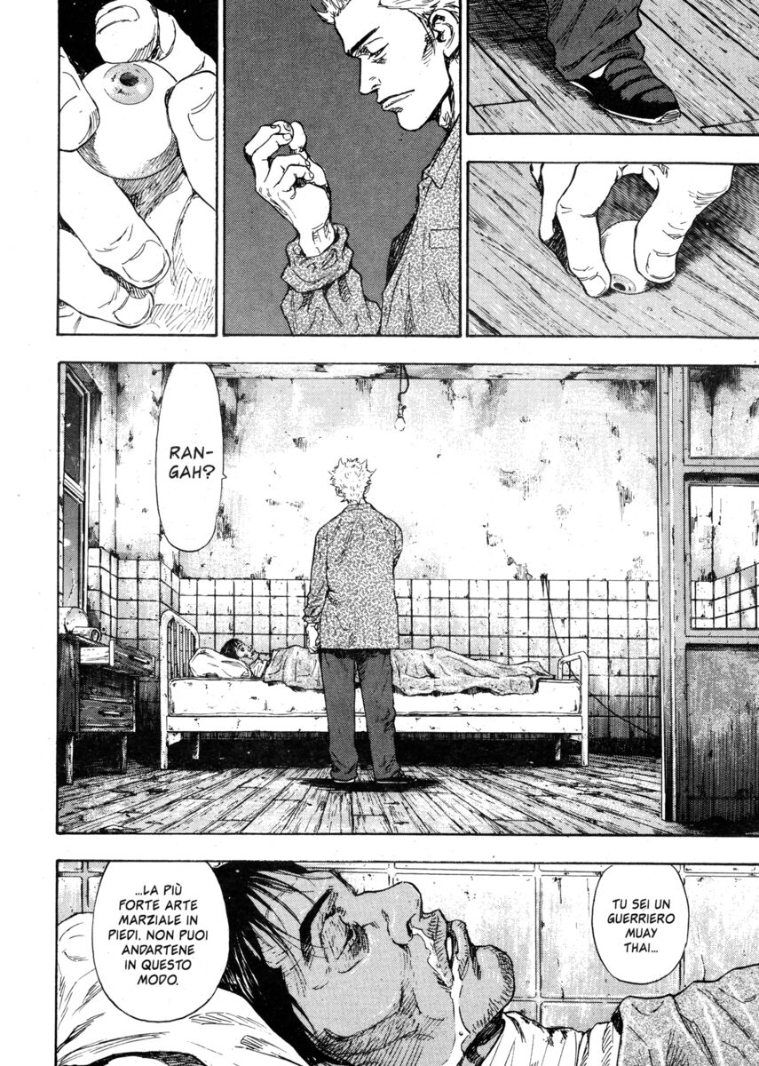 Read Shamo Manga Online