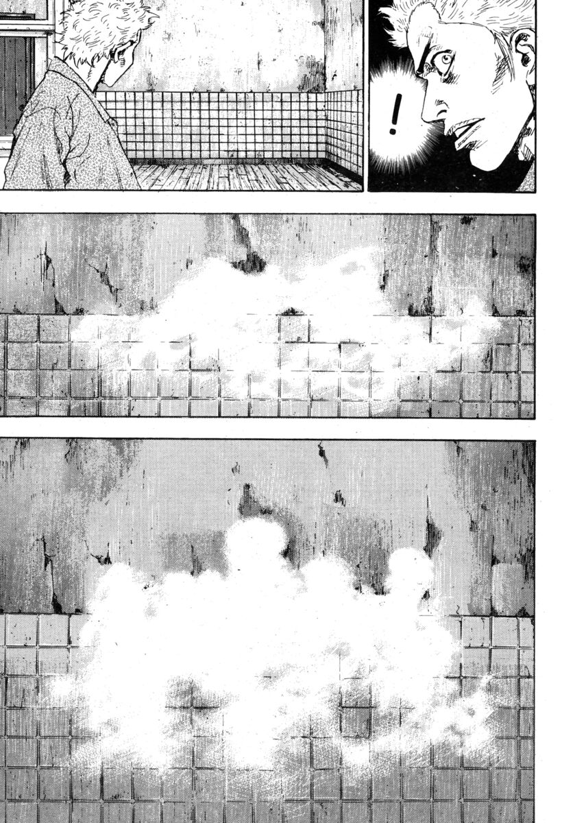 Read Shamo Manga Online