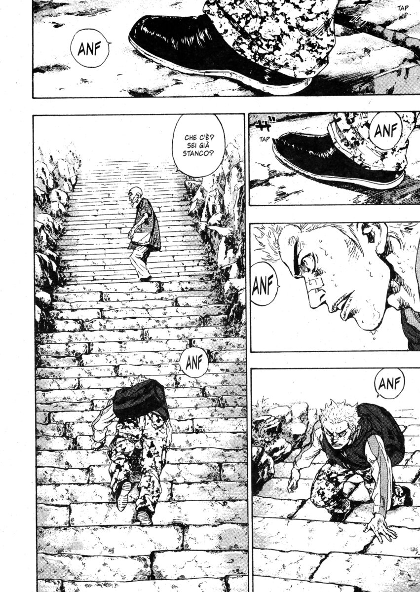 Read Shamo Manga Online