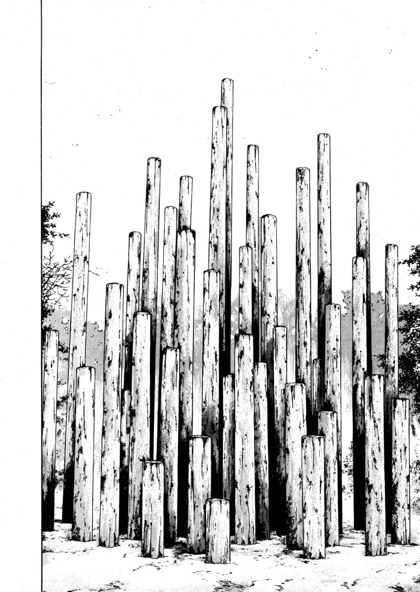 Read Shamo Manga Online