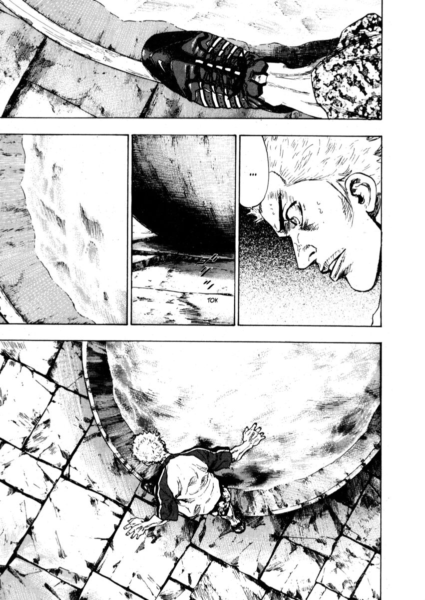 Read Shamo Manga Online