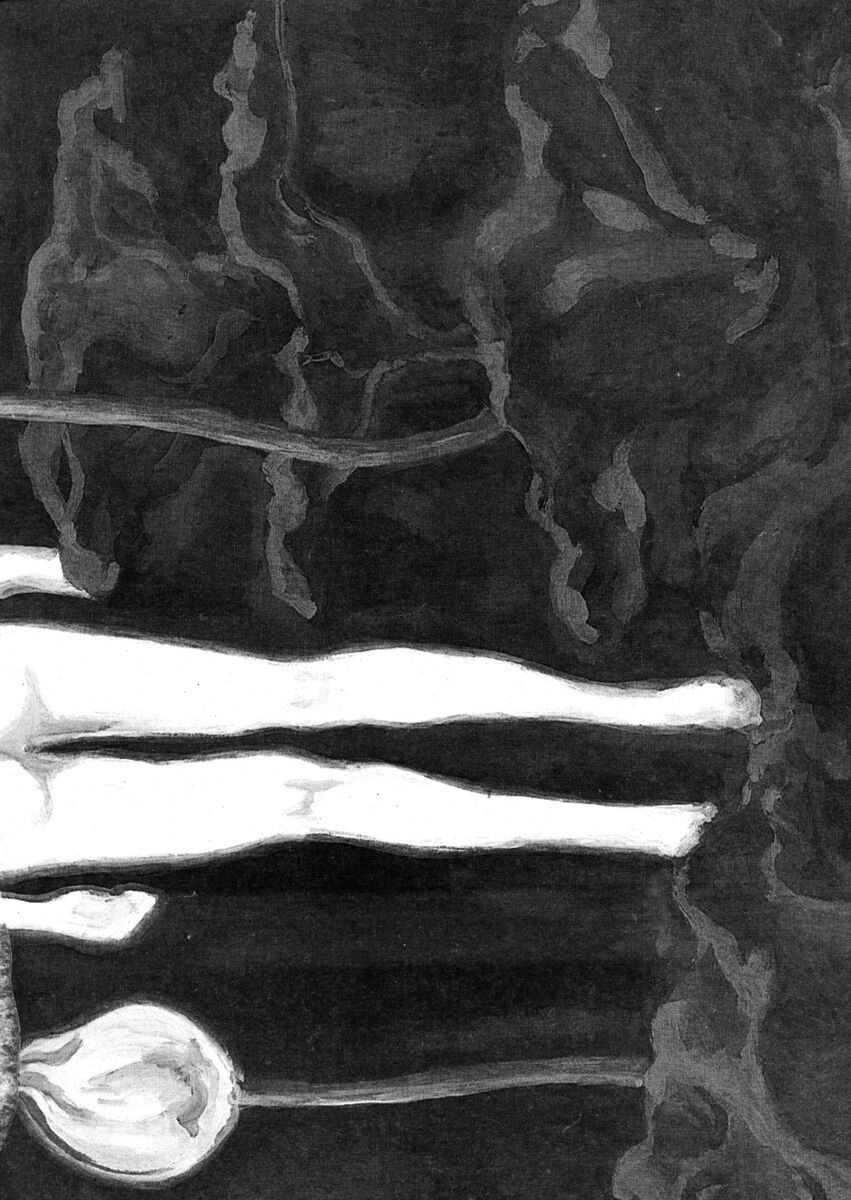 Read Shamo Manga Online