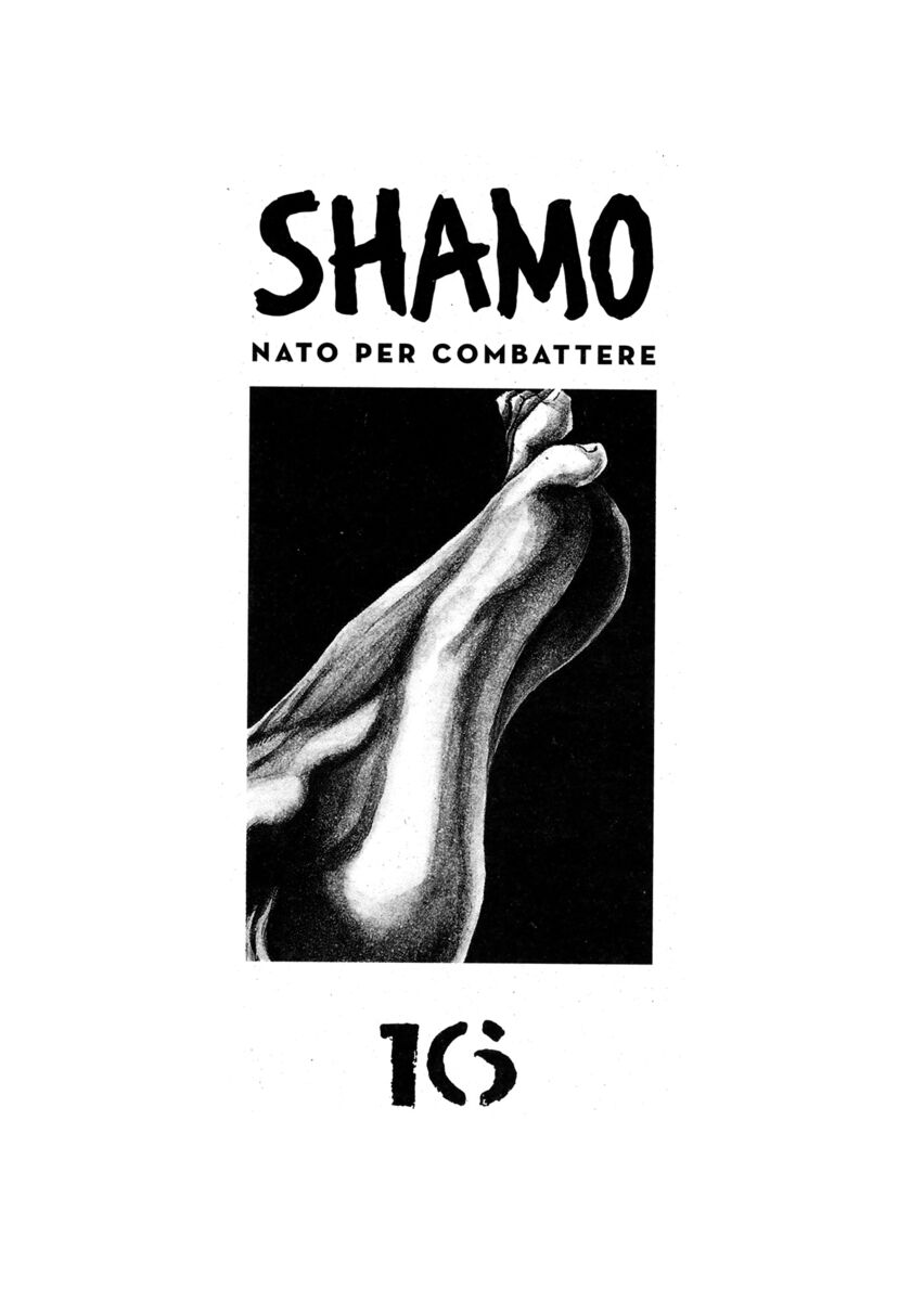 Read Shamo Manga Online