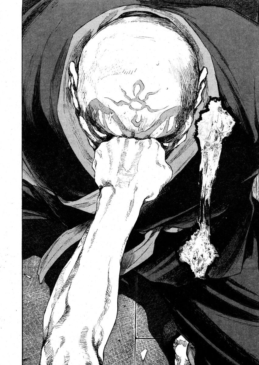 Read Shamo Manga Online