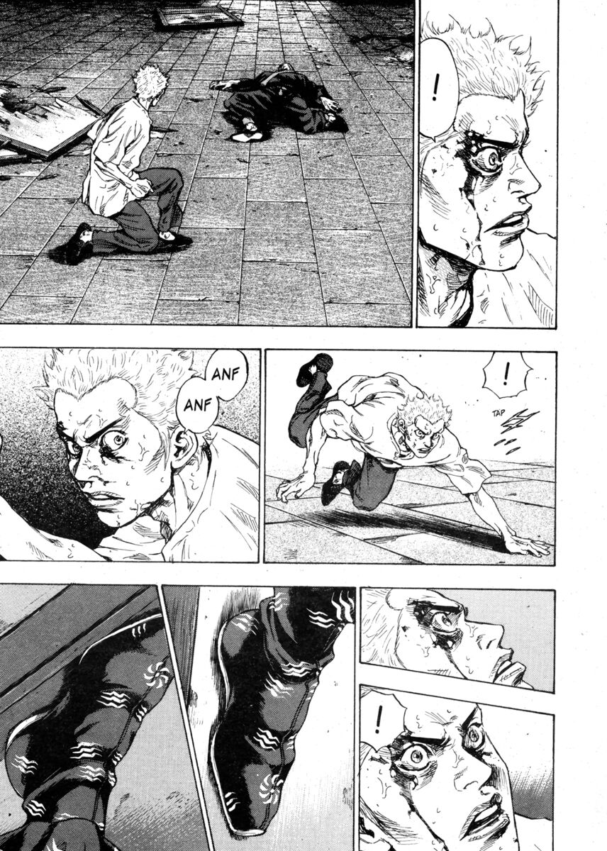 Read Shamo Manga Online