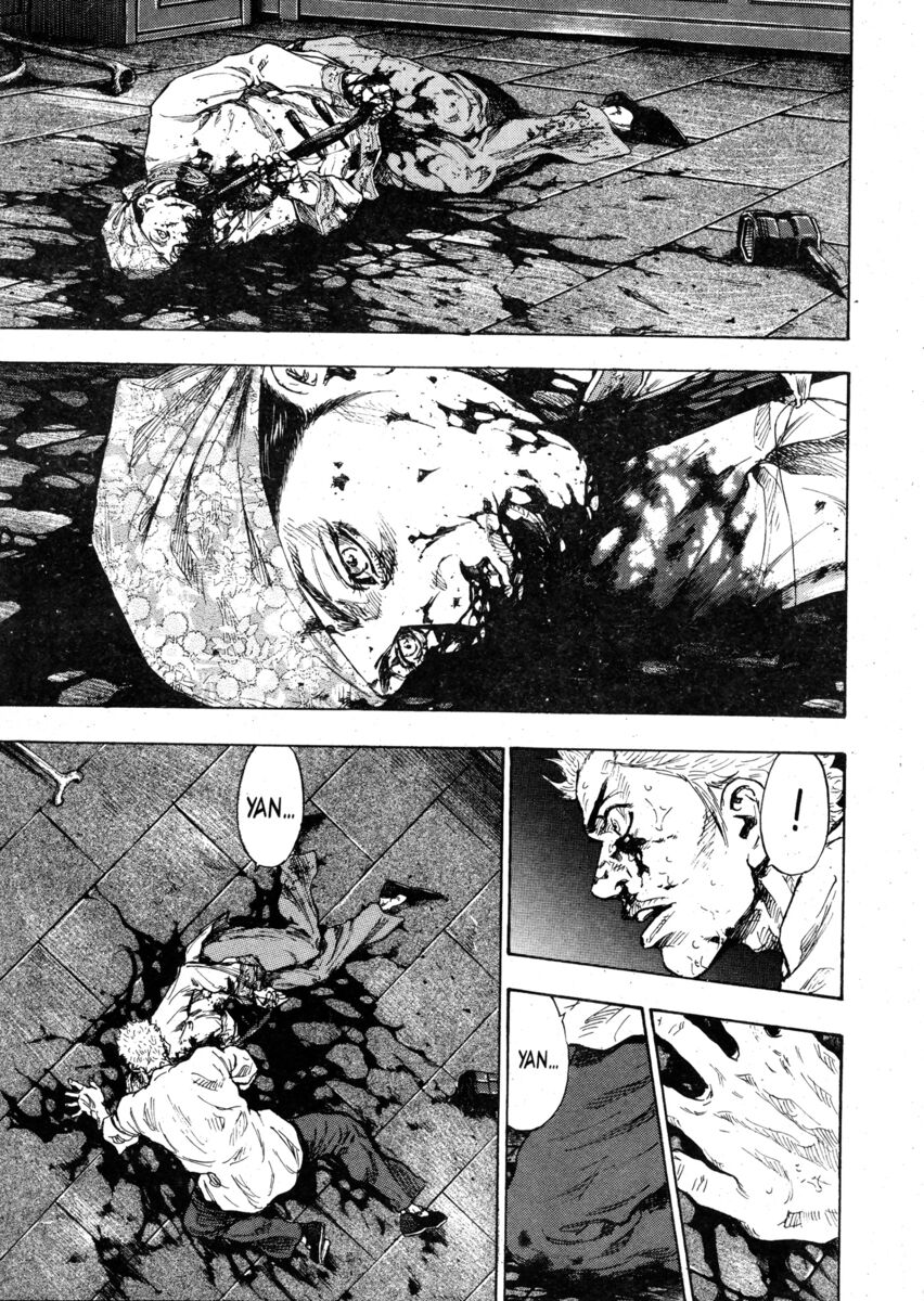 Read Shamo Manga Online