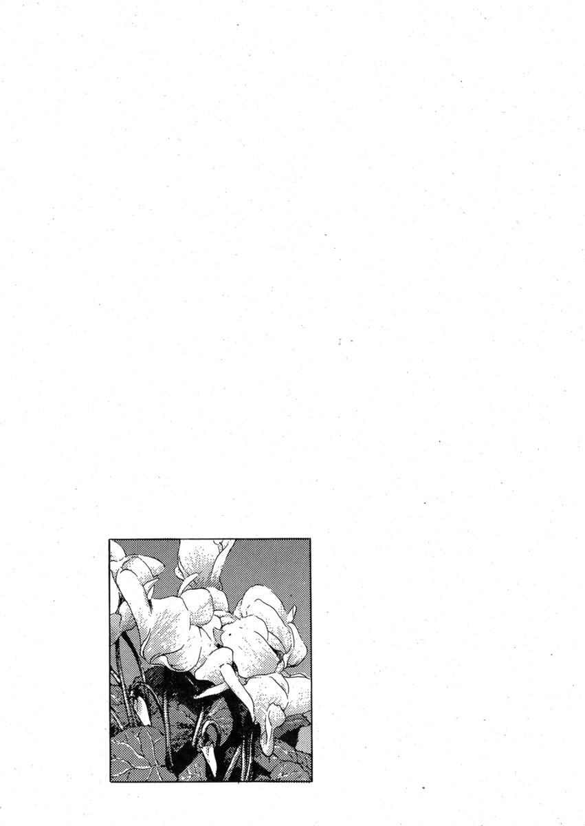 Read Shamo Manga Online