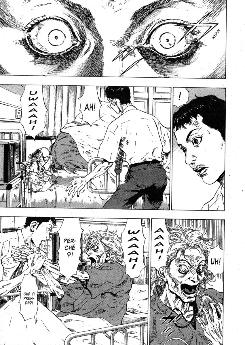 Read Shamo Manga Online