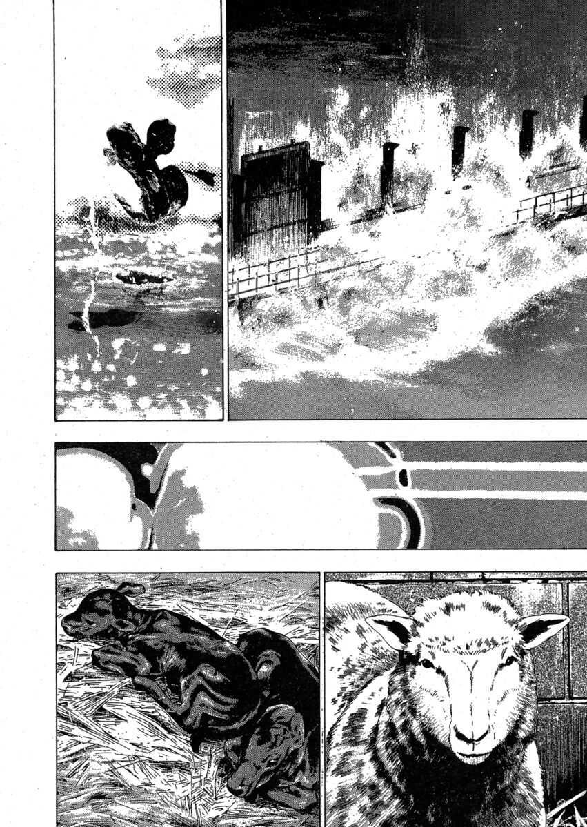 Read Shamo Manga Online