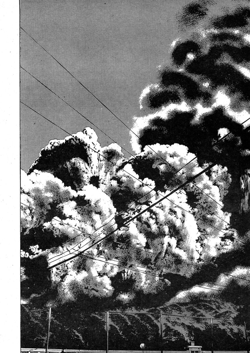 Read Shamo Manga Online