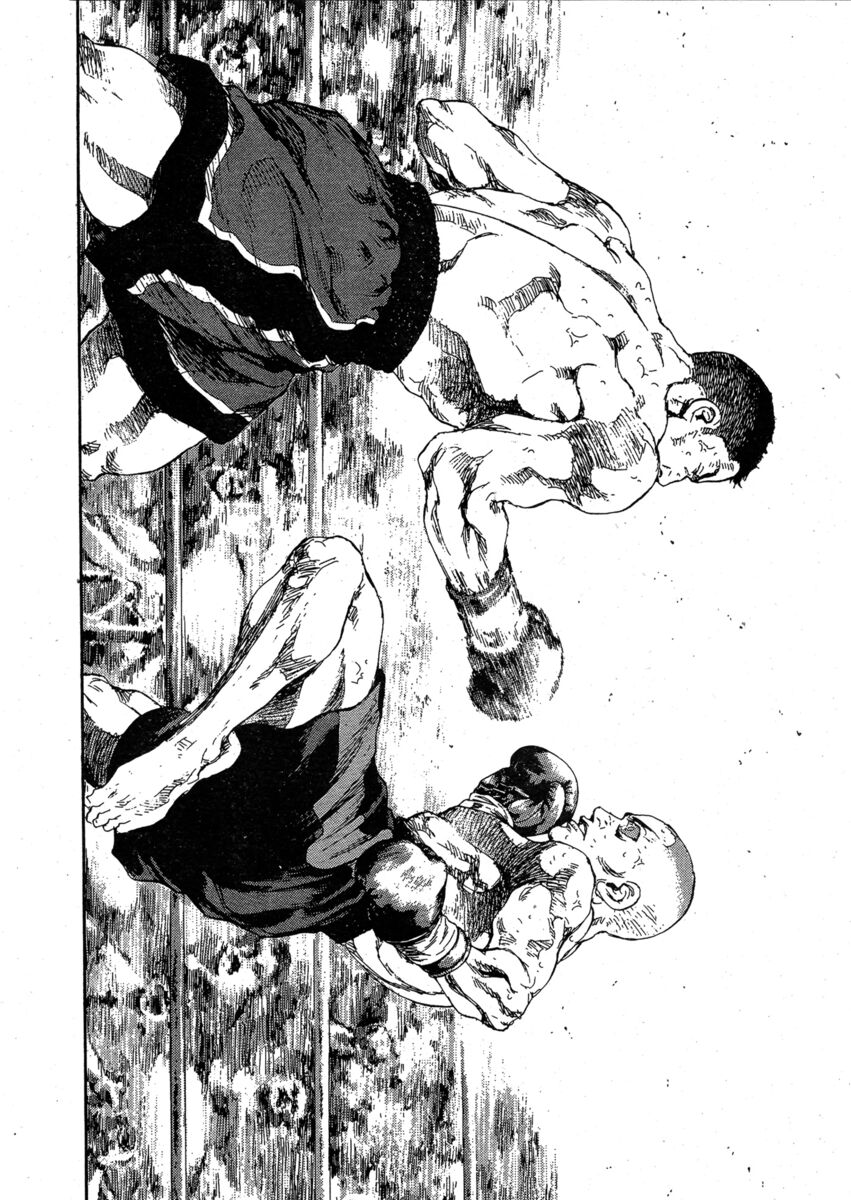 Read Shamo Manga Online
