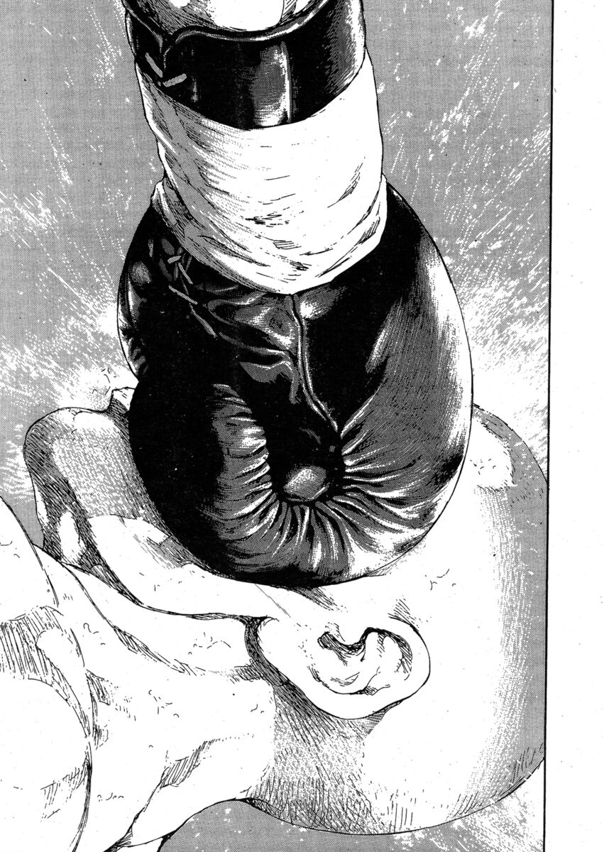 Read Shamo Manga Online