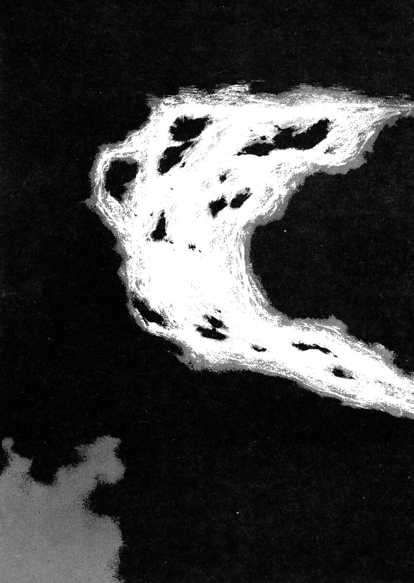 Read Shamo Manga Online