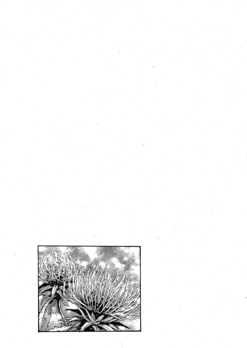 Read Shamo Manga Online