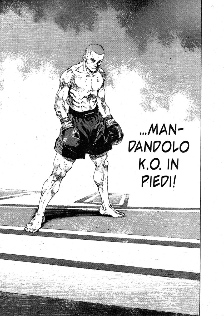 Read Shamo Manga Online