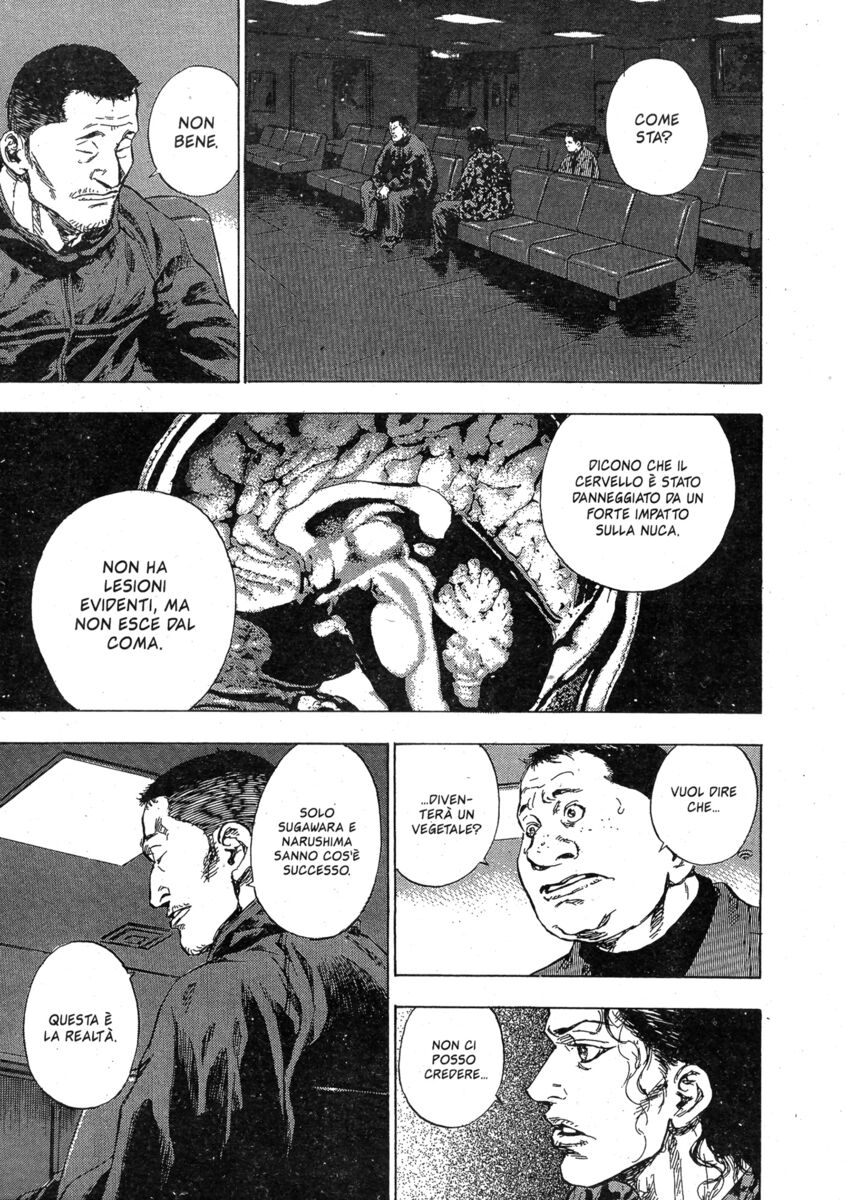 Read Shamo Manga Online