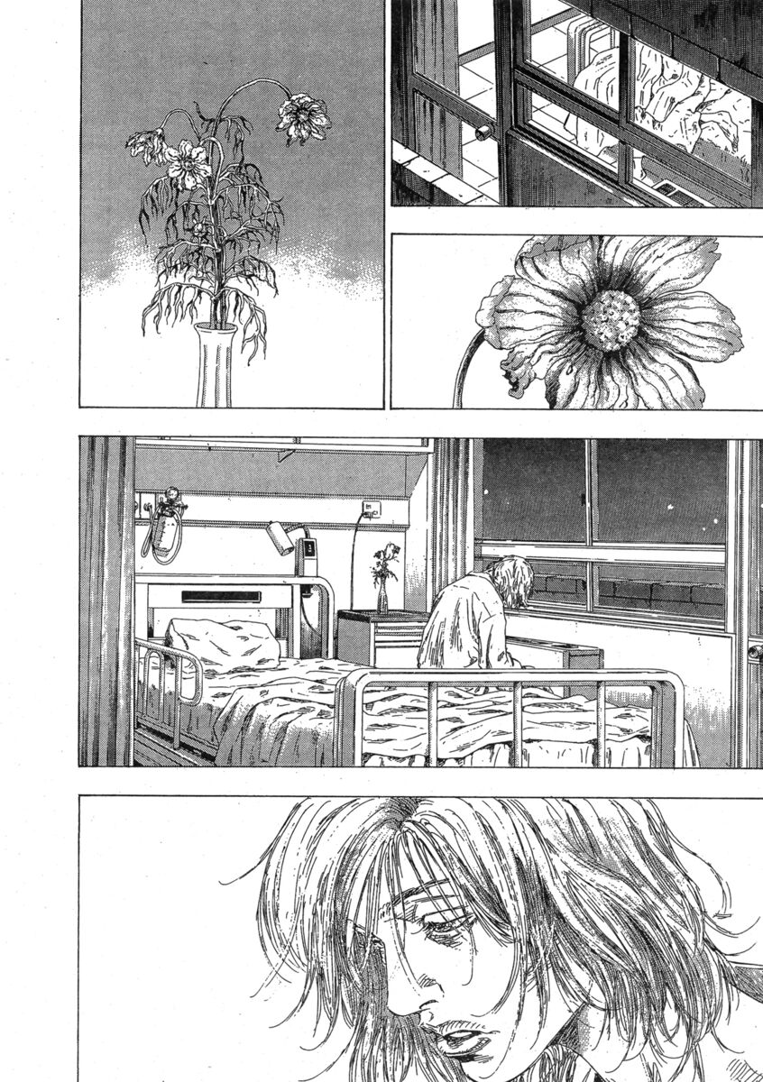 Read Shamo Manga Online