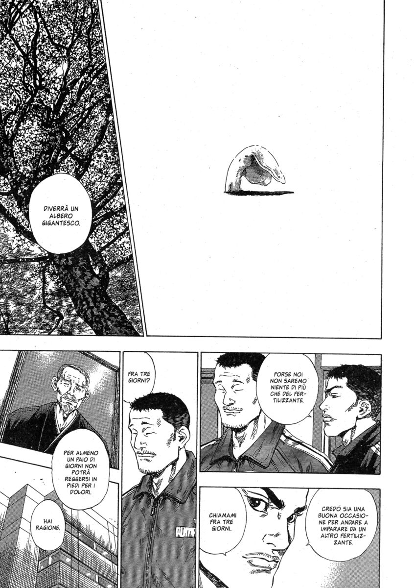 Read Shamo Manga Online