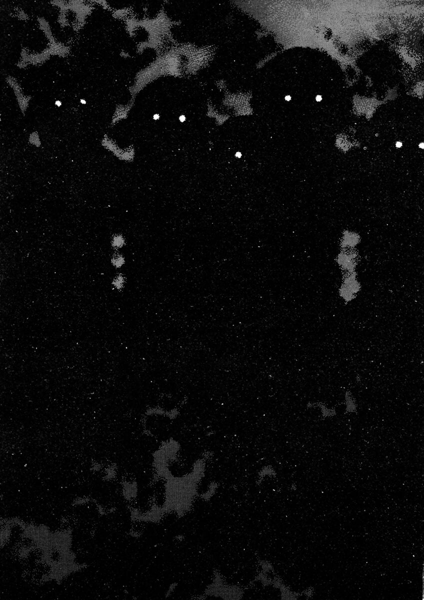 Read Shamo Manga Online