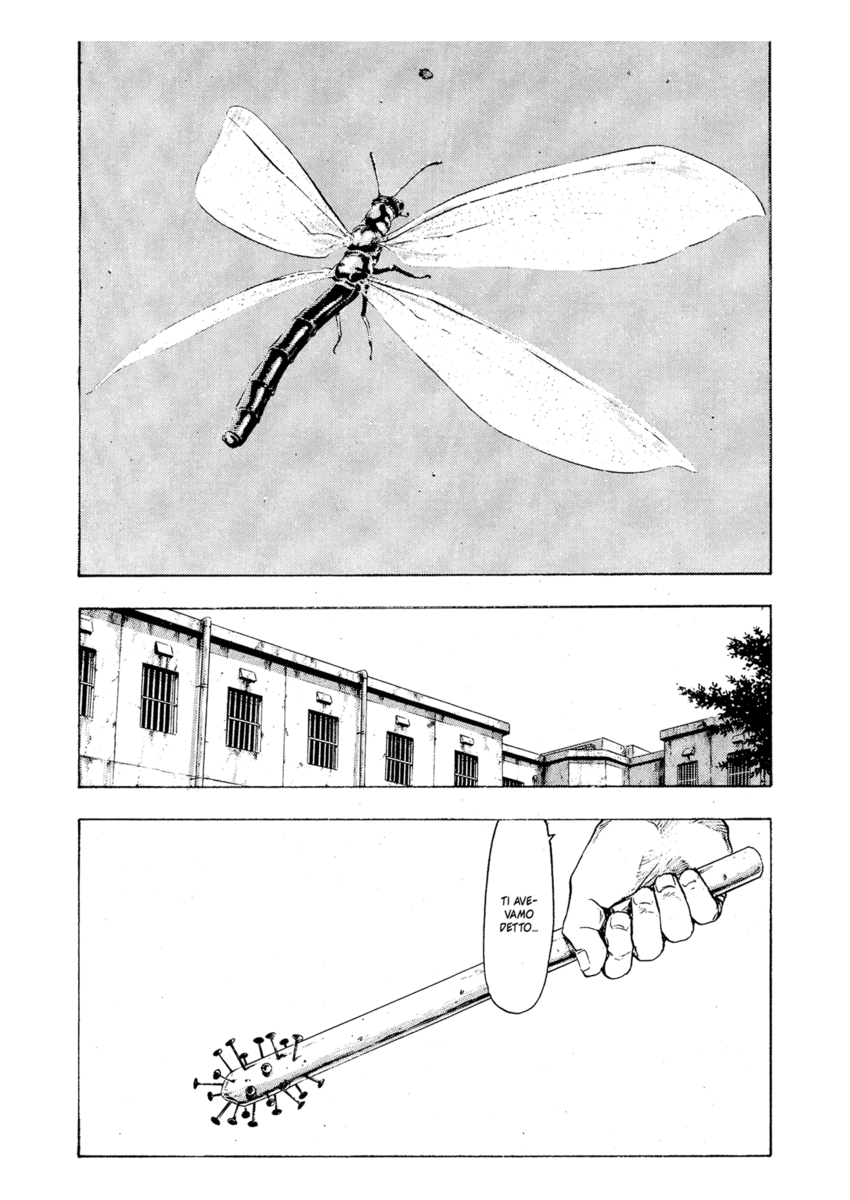 Read Shamo Manga Online