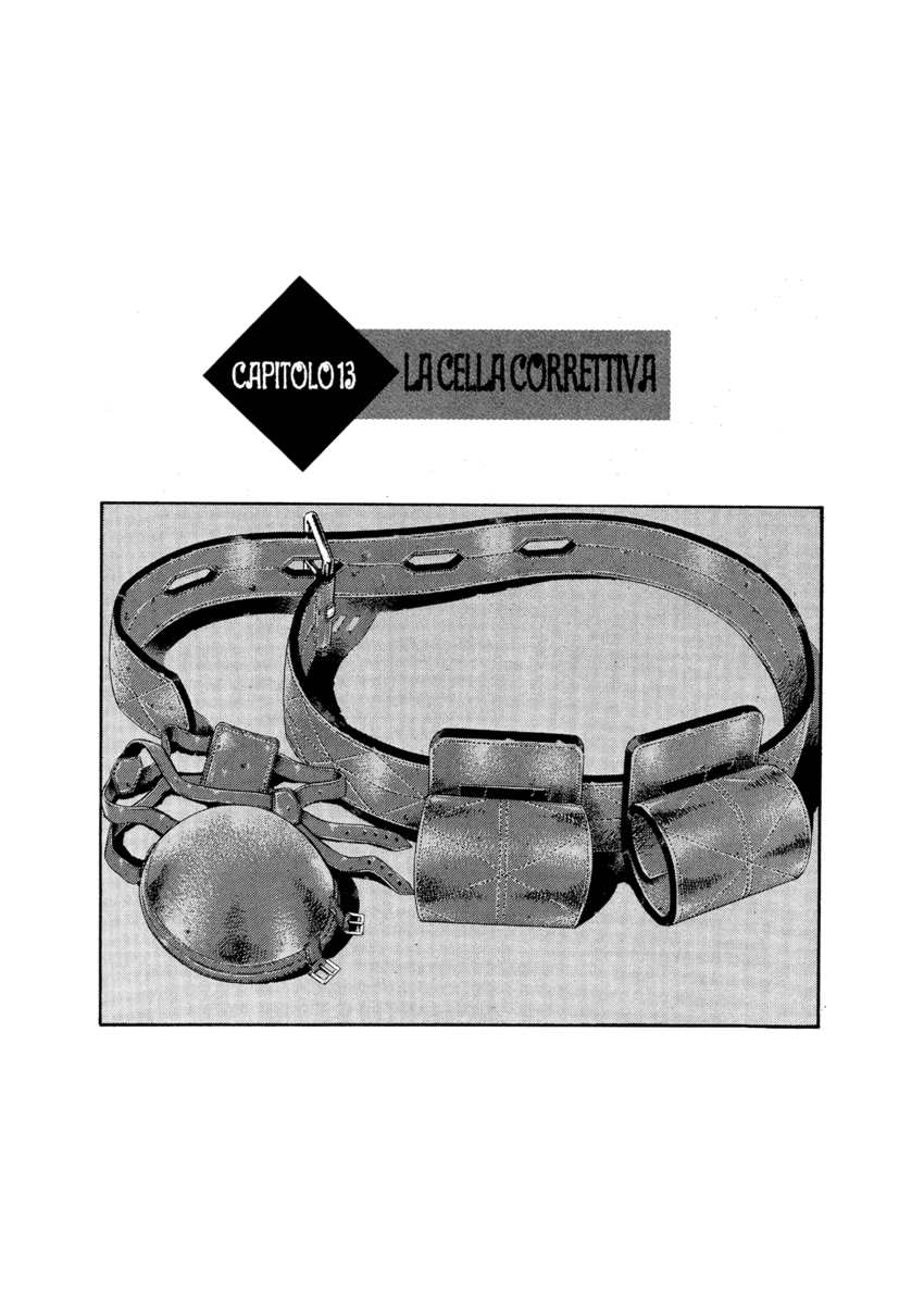 Read Shamo Manga Online